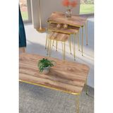 Zigon Sehpa Kr Ve Orta Sehpa Kr Set Gold Ceviz Tel 1108