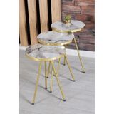 Zigon Sehpa ve Orta Sehpa Elips Gold Metal Ayak Gold Efes Set