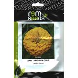 Zinnia Çiçek Tohumu (Kirli Hanım Çiçeği) Sarı Renk 1 (~ Takribi 25 Tohum)