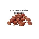 Ziraat Evim Kıska Soğan 5 kg Arpacık Soğan Iska Soğan Tohumu ıska