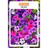 Ziraat Evim Petunya Çiçeği Tohumu 100 Adet Tohum Petunia