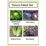 Ziraat Evim Yerli Göbek Marul(ICEBERG)- Mor Lahana- Yedikule Marul- Mor Reyhan Tohumu 500 Adet