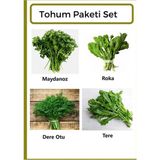Ziraat Evim Yeşillik Seti Maydanoz- Roka- Dere Otu- Tere Tohumu 1000 Adet