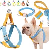 ZIRVYIR Çekme Köpek Koşum Takımı ve Tasma Seti, Köpek Yaka, Kaka Çanta Tutuculu Köpek Halter Koşumuna Adım, Ayarlanabilir Hafif Pamuk Kayışlar Küçük Orta Büyük Köpekler için Uygun Açık Hava Yürüyüşü Koşu