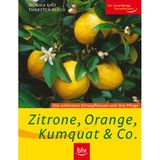 Zitrone, Orange, Kumquat & Co.: Die schönsten Zitruspflanzen und ihre Pflege