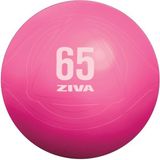 Ziva Fitness Patlamaya Karşı Dirençli Pembe 65 cm Pilates Topu - Standart