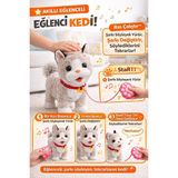 Ziventa Müzikli Yürüyen Havlayan Yalayan Kuyruk ve Başını Sallayan Ses Kaydını Tekrarlayan Peluş Kedi - 856 Gri