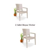 ZİYNET HOME Rattan Sandalye 2 Adet Rattan Victor Kollu Sandalye Koltuk 2'li Set A plus
