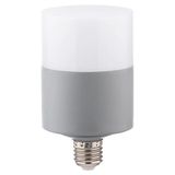 Zmr 116G65 40 Watt Oval Dekoratif LED Ampul E27 Beyaz Işık 6500 Kelvin - 30 - 40 W