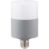 Zmr 40 Watt Oval Dekoratif Led Ampul E27 Beyaz Işık 6500 K Zmr-116 311073
