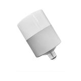 Zmr 40W Oval Torch Led Ampul Gri 6500K Beyaz Isik Dekoratif Jumbo Led Lamba
