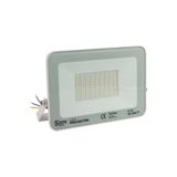 ZMR 50 Watt Led Projektör Ip66 Beyaz Işık