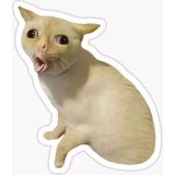 Zobar Markt Zobarmarkt Kedi Baskılı Defter Ajanda Planner Laptop Sticker, 4 cm