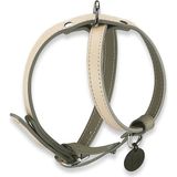 Zoe Pet Atelier Bej Gri Deri Köpek Göğüs Tasması