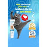 Zoey Glukozamin 100 gr Malt Macun Kediler İçin Kemik Sağlığını Destekleyen Lezzetli Ödül - MALT001