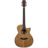 Zoppran Akustik Gitar Pro