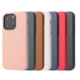 Zore Apple iPhone 13 Pro Max Eyzi Kapak Kılıf