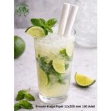 Zorlu Ekolojik Ürünler Beyaz Sargılı Frozen Kağıt Pipet 12X200 mm 50 Adet Bubble Tea Yılbaşı Consept Party Concept Ekolojik Ürünler Beyaz Sargılı Frozen Kağıt Pipet 12 x 200 cm