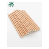 Zorlu Ekolojik Ürünler Kraft Kağıt Pipet 8X200 mm 50 Adet