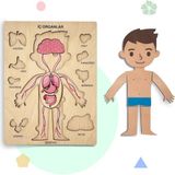 Zoziva Insan Vücudunu Öğreniyoruz, Iç Organlar Montessori Eğitici Ahşap Puzzle Oyuncağı, Doktorculuk Oyunu - Erkek Çocuk
