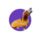 Zubi Dogs Zubirain / Su Geçirmeyen Polar Astarlı Köpek Yağmurluğu – Hardal Sarısı