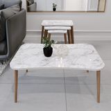 zuesse dizayn Esma Orta Sehpa + 3lü Zigon Sehpa & Ahşap Ayaklı Sehpa Seti &Oturma Odası için Sehpa Seti & Salon için Sehpa Seti (Beyaz Mermer Desenli)