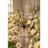 Zuri Design Zuri Desıgn Çok Sevilen Pudra Oda Kokusu Cam Şişe 3 Siyah Bambu Çubuklu Dekoratif Koku 50 ml