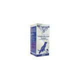 Zurich Kedi ve Köpekler Için Powder Dry Clean Toz Şampuan 250GR