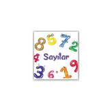 0-3 Yaş Sayılar - Merve Türkay