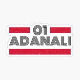01 Adanalı Plaka Araba Sticker Yapıştırması