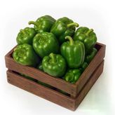 1 kg Dolma Biber