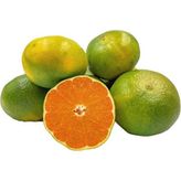1 kg Mandalina