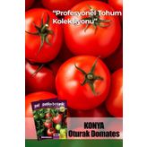 10 Adet Konya Domates Tohumu