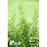 100 Adet Kekik Tohumu 2 Paket