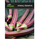 100 Adet Kınalı Bamya Tohumu