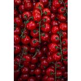 100 Adet Large Red Cherry Domates Tohumu