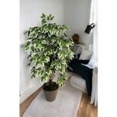 100 cm yapay ficus agacı