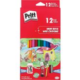 12Li Silinebilir Pastel Boya