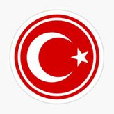 14 CM Türk Bayrağı Araba Sticker Yapıştırma