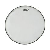 14'' Diplomat Hazy Trampet Derisi