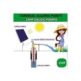 15 HP Dalgıç Pompa - Tarımsal Sulama Sistemi
