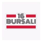 16 Bursalı Plaka Araba Sticker Yapıştırması