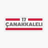17 Çanakkaleli Plaka Araba Sticker Yapıştırması