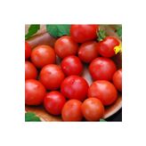 20 Adet Riesentraube Domates Tohumu