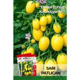 20 Adet Sarı Patlıcan Tohumu