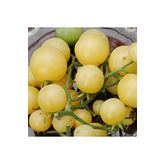 20 Adet Super Snow White Domates Tohumu