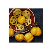 20 Adet Yellow Ruffled Domates Tohumu