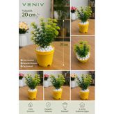 20 Cm Dekoratif Yapay Bitki | Saksılı | Canlı Görünüm | İç & Dış Mekân