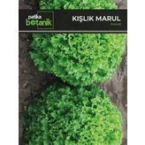 2000 Adet Kışlık Kıvırcık Marul Tohumu