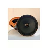 20Cm Amfi Tipi 200W 100Rms Midrange Hoparlör Takımı Br-8